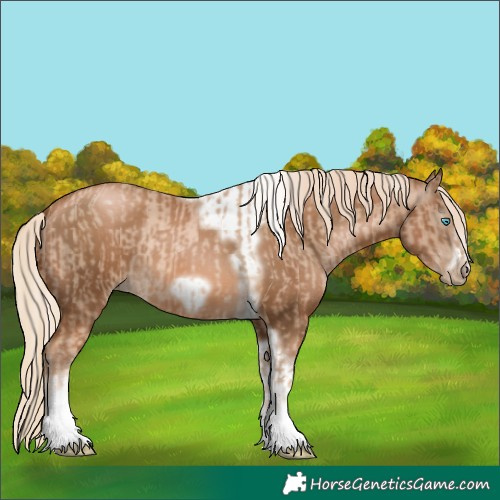 Horse Color:Chocolate Palomino Pearl Tobiano Frame  and Gray Chocolate Palomino Pearl Tobiano Frame 