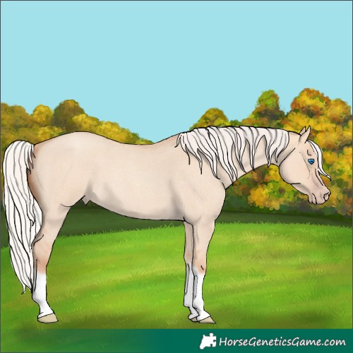 Horse Color:Silver Classic Champagne Roan Dun Splash Frame 