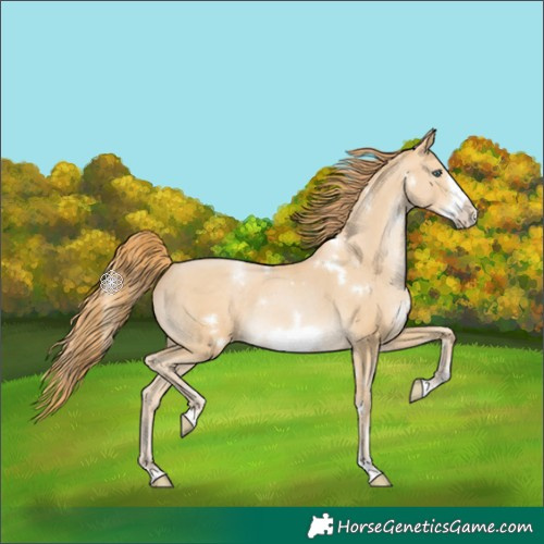 Horse Color:White Spotted Smoky Black Pearl Frame Rabicano 