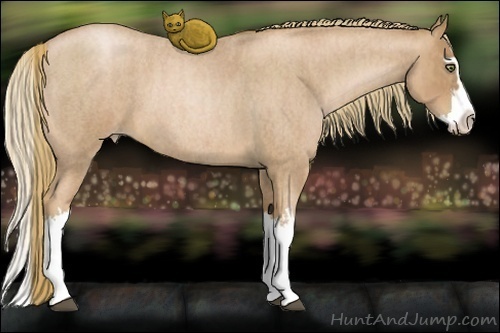 Horse Color:Red Roan Pearl Splash Frame  Brindle