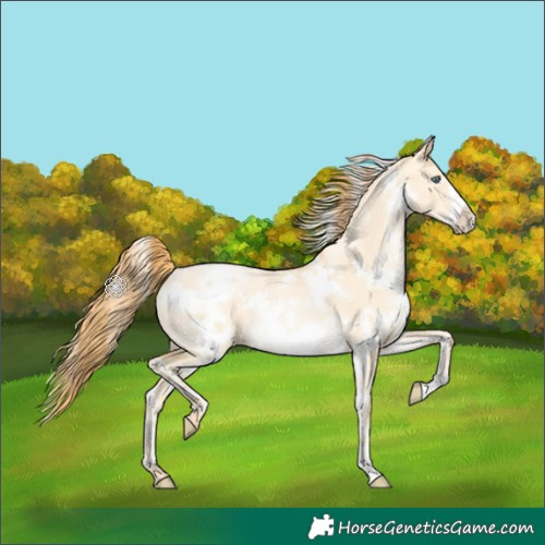 Horse Color:White Spotted Buckskin Pearl Dun Frame Rabicano 