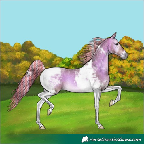 Horse Color:Platinum Painted Chocolate Buckskin Roan Onyx Tobiano 