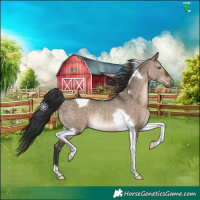 Horse Color:Brown Dun Tobiano Rabicano