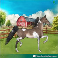Horse Color:Brown Dun Tobiano Rabicano 