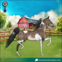 Horse Color:Brown Dun Tobiano Rabicano 