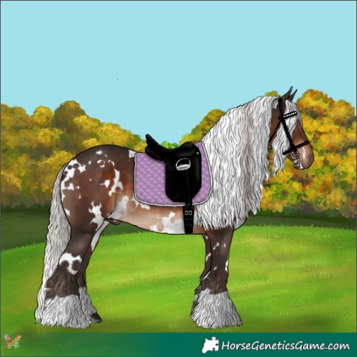 Horse Color:White Spotted Silver Brown 