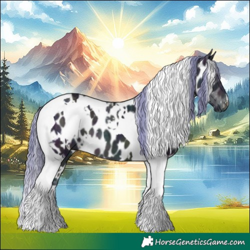 Horse Color:Watercolor White Spotted Midnight Brown Ice Tobiano Appaloosa 