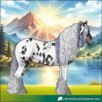 Horse Color:Watercolor White Spotted Midnight Brown Ice Tobiano Near Leopard 