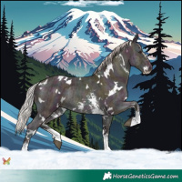 Horse Color:White Spotted Midnight Chocolate Silver Brown Ice Dun Sabino Rabicano 