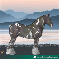 Horse Color:White Spotted Midnight Chocolate Silver Brown Ice Dun Sabino Rabicano 