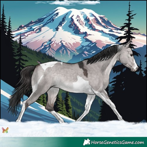 Horse Color:Platinum Bay Dun Tobiano 