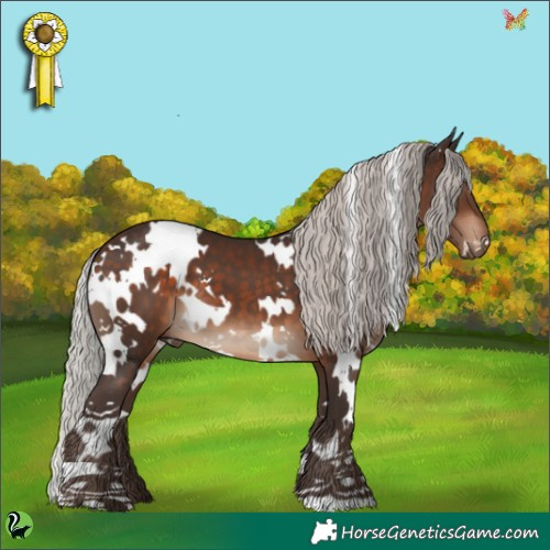 Horse Color:White Spotted Silver Brown 