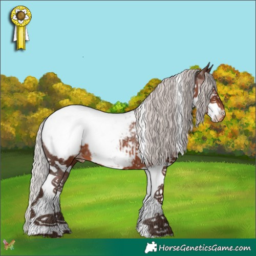 Horse Color:White Spotted Silver Brown Splash Appaloosa 