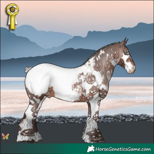 Horse Color:White Spotted Silver Brown Splash Snowcap 