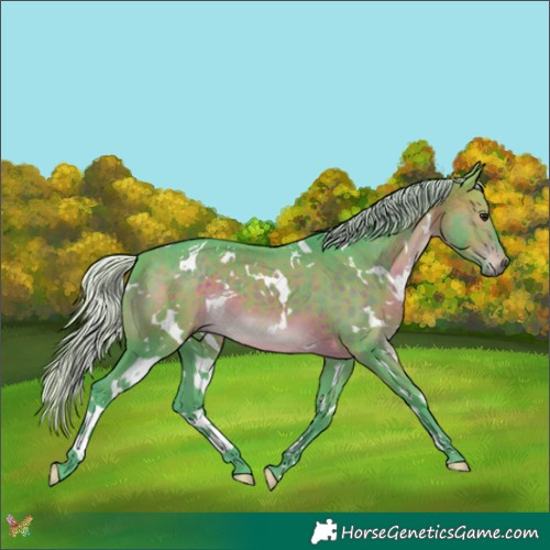 Horse Color:Watercolor White Spotted Silver Brown 