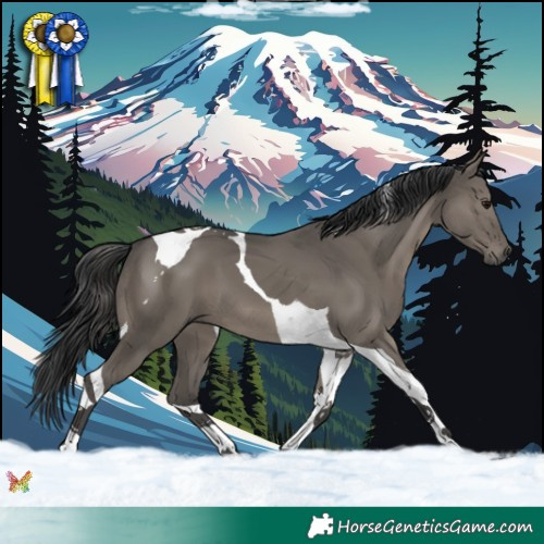 Horse Color:Grullo Tobiano 