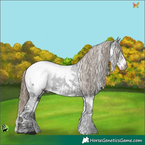 Horse Color:White Spotted Smoky Black Splash Appaloosa 