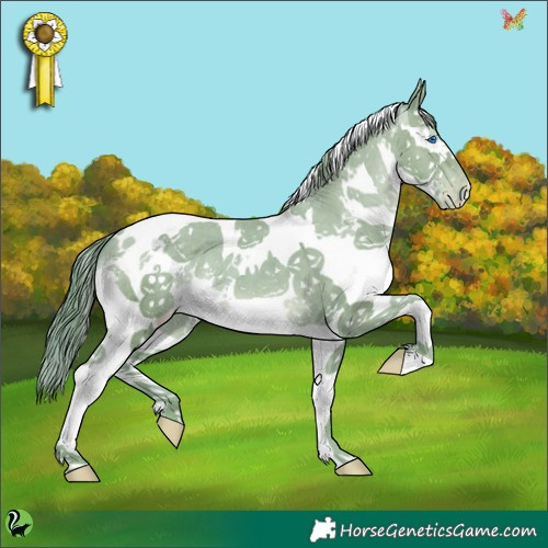 Horse Color:Watercolor White Spotted Classic Champagne Splash Tobiano Appaloosa 