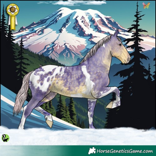 Horse Color:Watercolor Silver Smoky Black Tobiano Blanket 