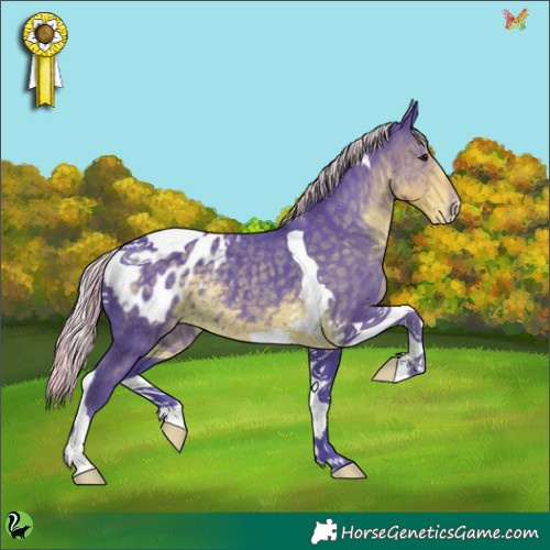 Horse Color:Watercolor Silver Smoky Black Tobiano Appaloosa 