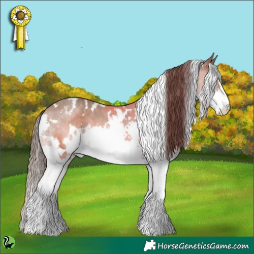 Horse Color:White Spotted Sable Champagne Splash Appaloosa 