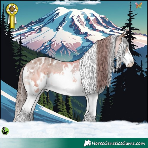 Horse Color:White Spotted Sable Champagne Splash Varnish 