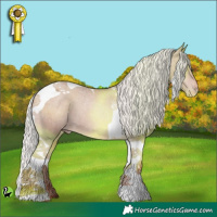 Horse Color:Silver Sable Champagne Tobiano Appaloosa