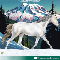 Horse Color:Buckskin Tobiano Varnish 