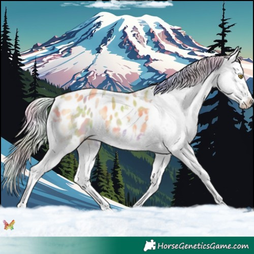 Horse Color:Nacre Silver Amber Cream Champagne Onyx Appaloosa 
