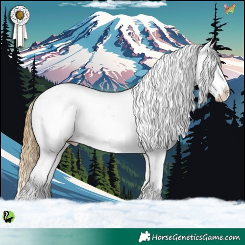 Horse Color:Buckskin Snowcap 