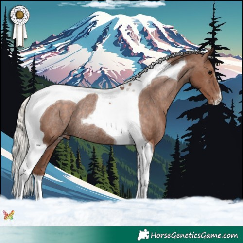 Horse Color:Silver Black Tobiano Appaloosa Rabicano 
