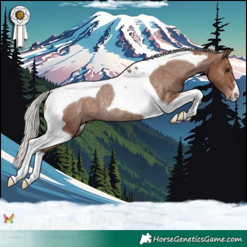 Horse Color:Silver Black Tobiano Varnish Rabicano 