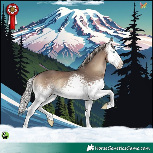 Horse Color:White Spotted Silver Blue Onyx Splash 