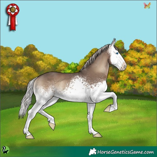 Horse Color:White Spotted Silver Blue Onyx Splash 