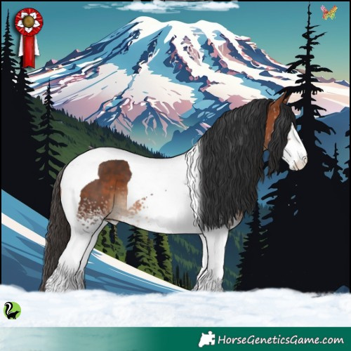Horse Color:White Spotted Bay Tobiano 