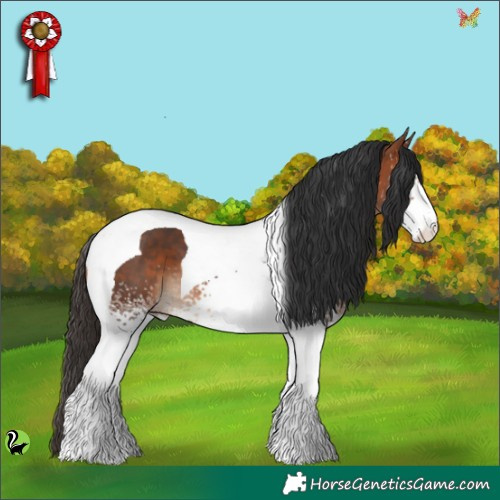 Horse Color:White Spotted Bay Tobiano 