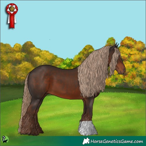 Horse Color:Liver Chestnut 