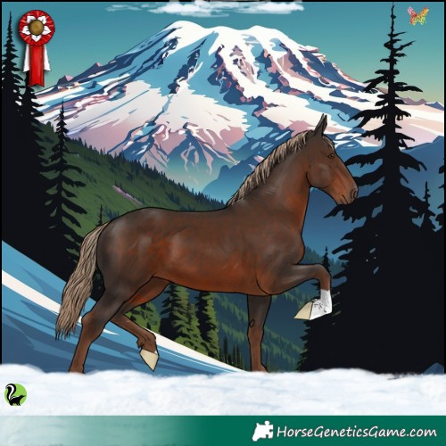 Horse Color:Liver Chestnut 