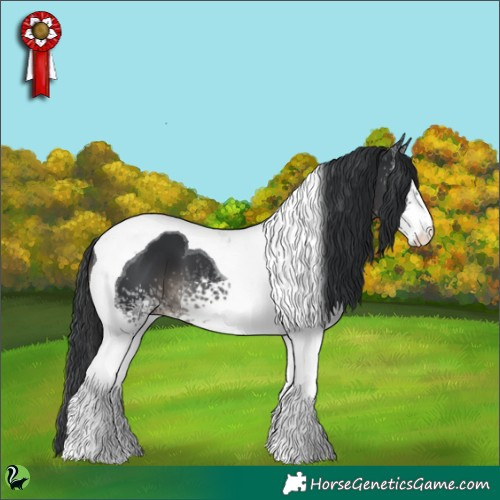 Horse Color:White Spotted Black Tobiano 