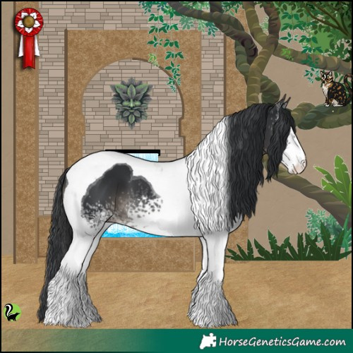 Horse Color:White Spotted Black Tobiano 
