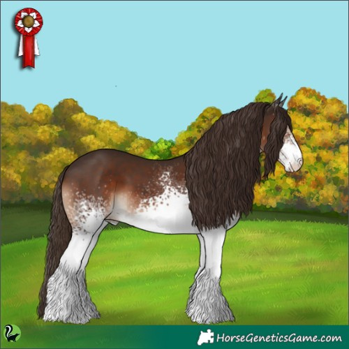 Horse Color:White Spotted Liver Chestnut 
