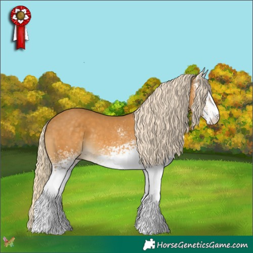 Horse Color:White Spotted Palomino 