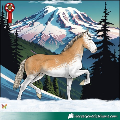 Horse Color:White Spotted Palomino 