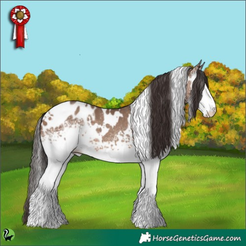 Horse Color:White Spotted Sable Champagne Appaloosa 