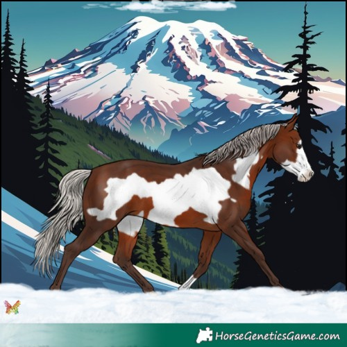 Horse Color:Silver Brown Frame 