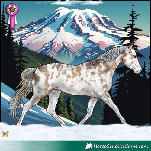 Horse Color:Chocolate Palomino Sabino Near Leopard 