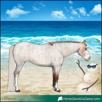 Horse Color:Silver Brown Roan Dun Sabino