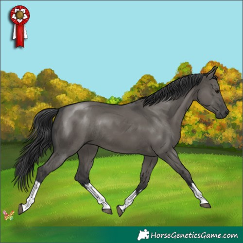Horse Color:White Spotted Grullo Mushroom Rabicano 