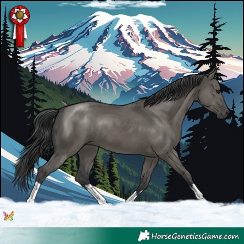 Horse Color:White Spotted Grullo Mushroom Rabicano 