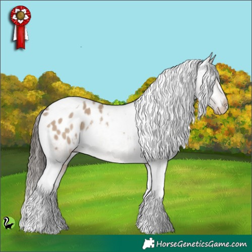 Horse Color:Liver Red Dun Tobiano Appaloosa 